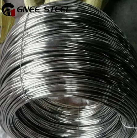 Hastelloy B Nickel Letre Wire