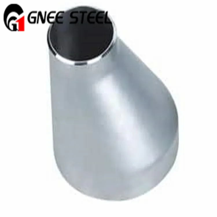 Hastelloy B Reduttore