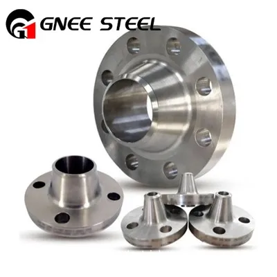 Flange Hastelloy