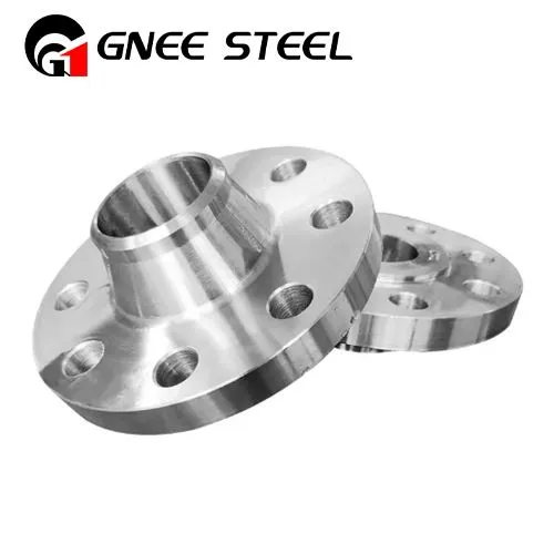 Flange in acciaio super duplex